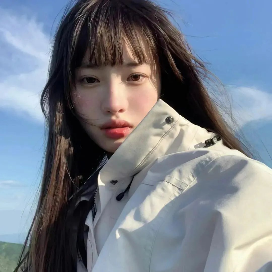 企鹅之岛：福克兰