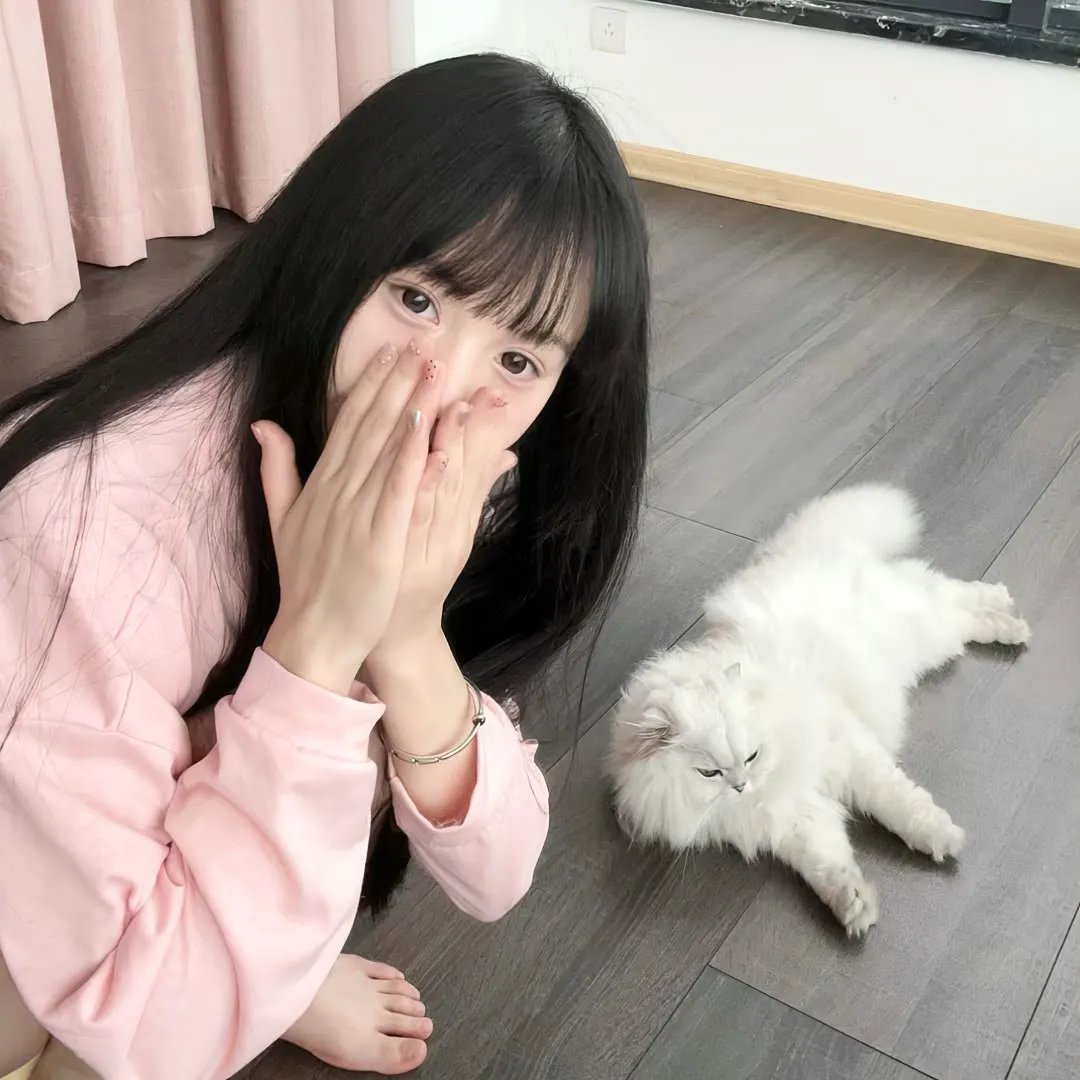 神探伽利略第二季