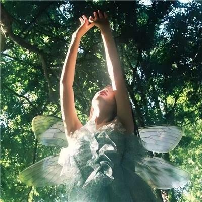 恐龙·怪鸟的传说